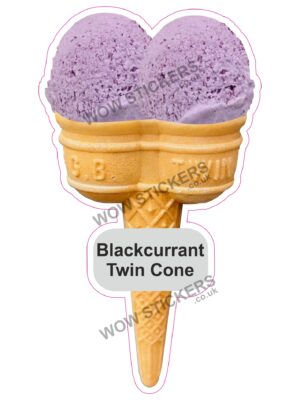 Blackcurrant Scoop Ice Cream Twin Cone