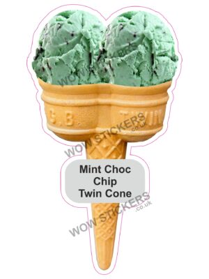 Mint Choc Chip Scoop Ice Cream Twin Cone
