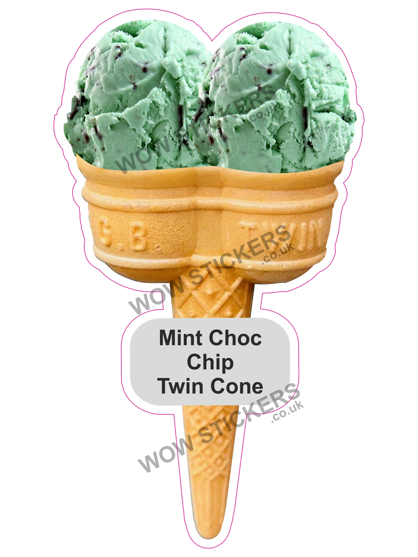 Mint Choc Chip Scoop Ice Cream Twin Cone
