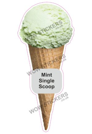 Mint Scoop Ice Cream Waffle Cone