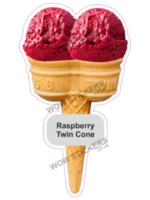 Raspberry Scoop Ice Cream Waffle Cone
