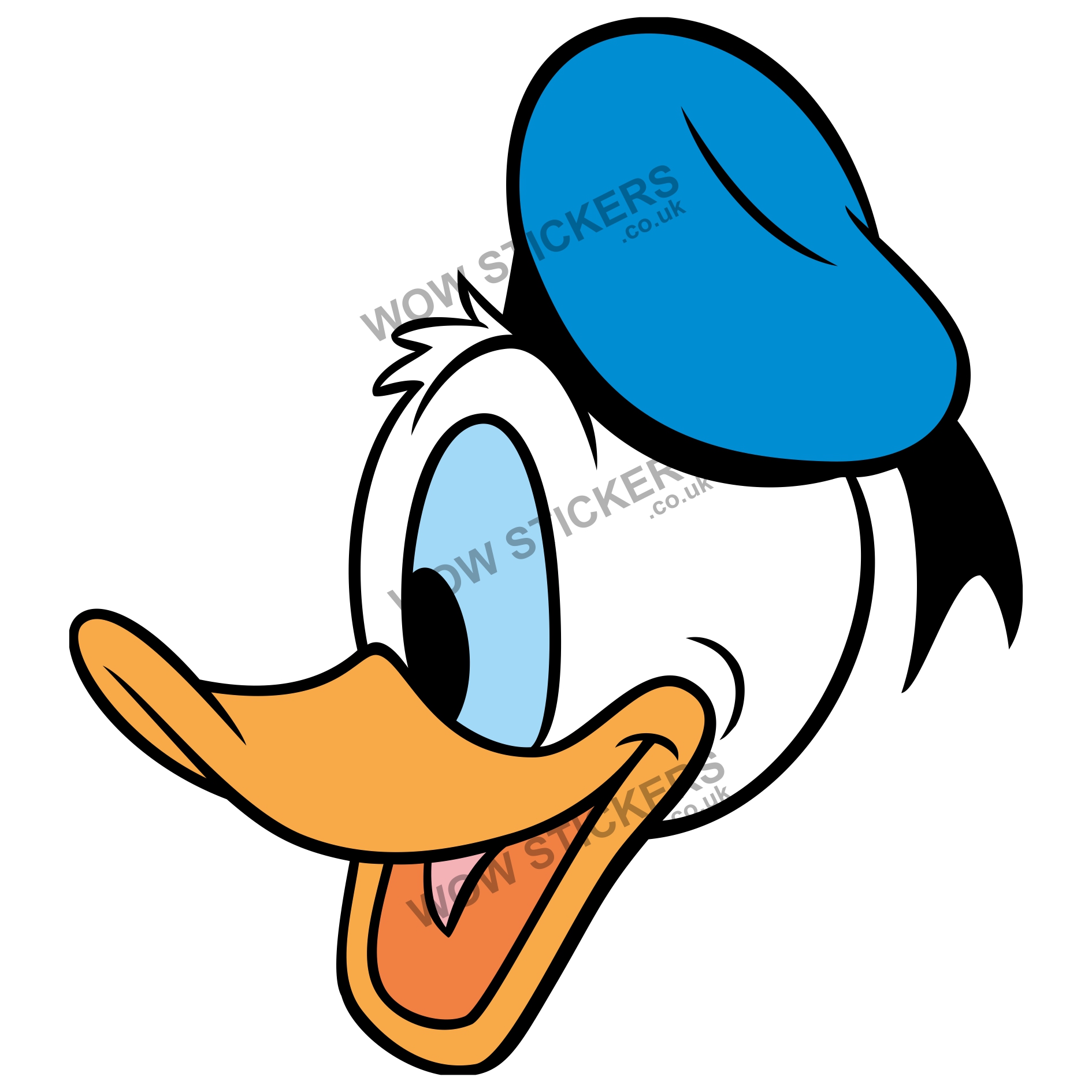 Donald Duck Head