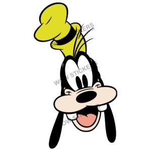 Goofy Head