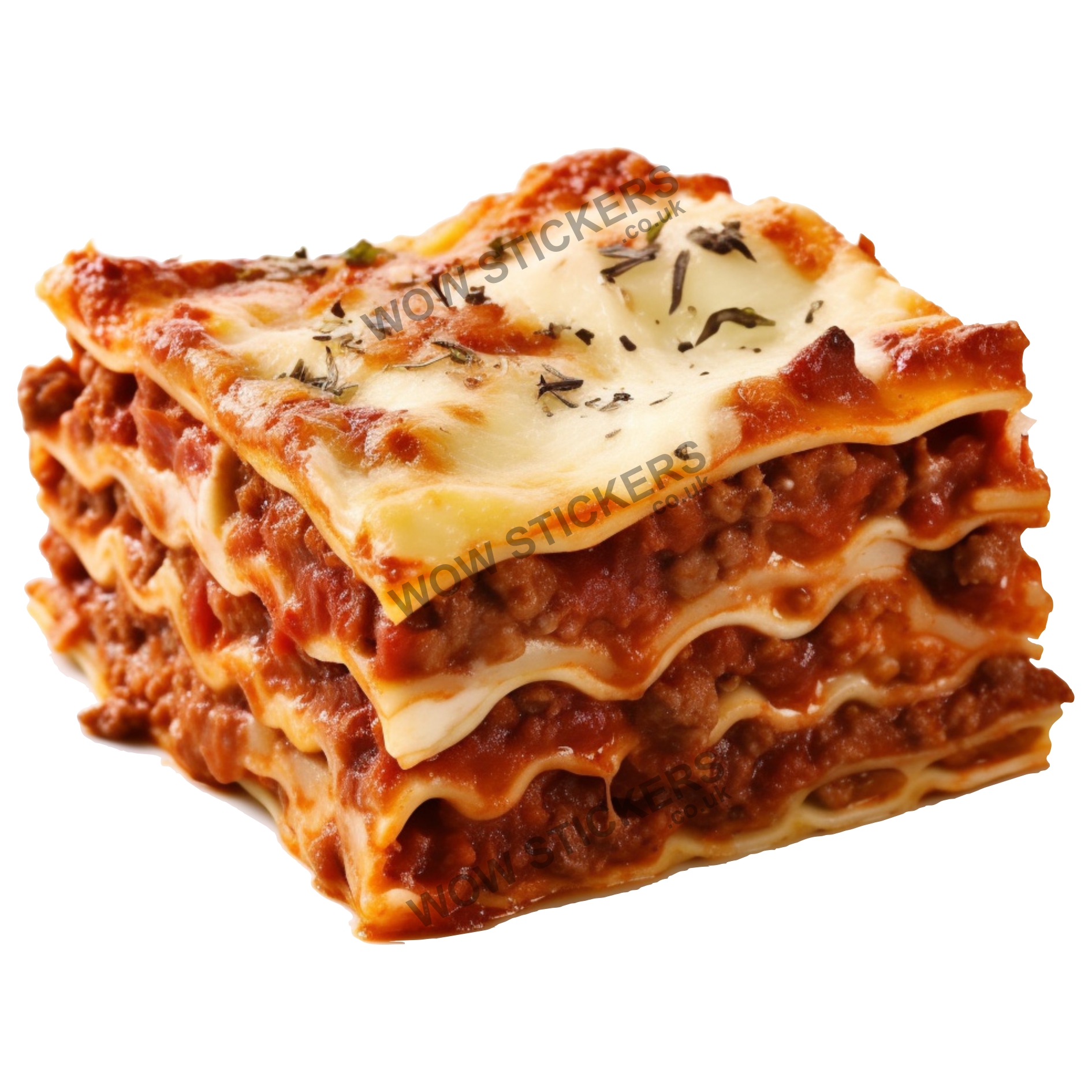 Lasagne