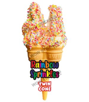 Rainbow Sprinkles Twin Cone