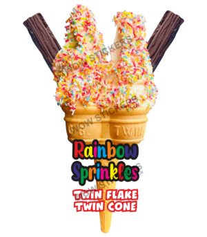 Rainbow Sprinkles Twin Cone with Double Flake