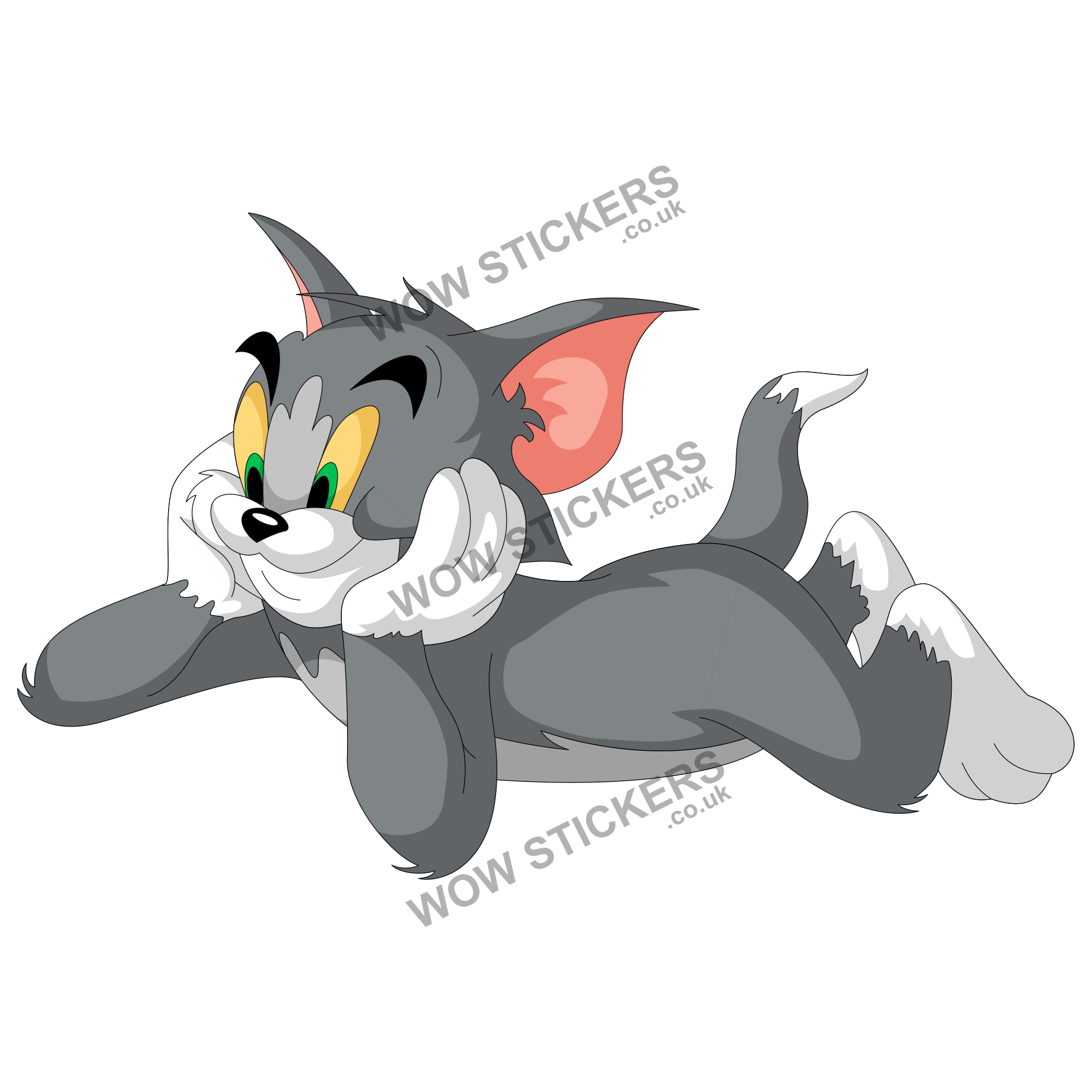 Tom from Tom & Jerry